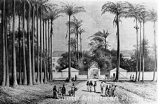fgfa0034 Cayenne, Place des Palmistes 1860s