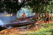 fgga0239 drying a freshly cut canoe